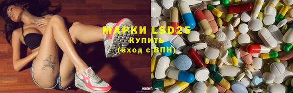 индика Нязепетровск