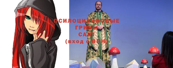 ALPHA-PVP Няндома