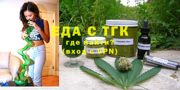 индика Нязепетровск