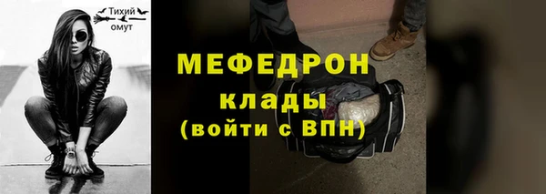 индика Нязепетровск