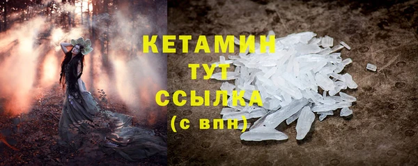индика Нязепетровск
