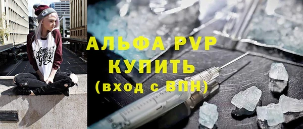 индика Нязепетровск