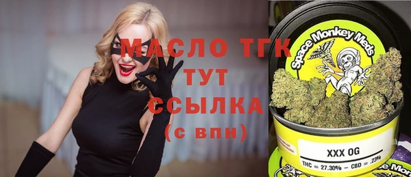 индика Нязепетровск