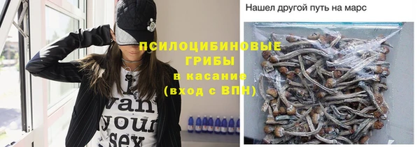 ALPHA-PVP Няндома