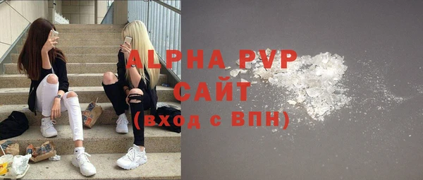 индика Нязепетровск