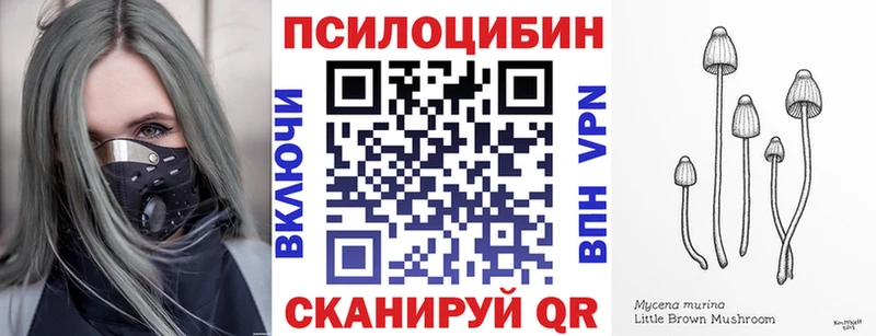 цены наркотик  Порхов  Псилоцибиновые грибы мицелий 